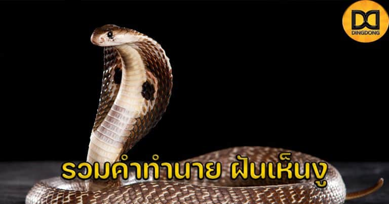 รวมคำทำนายฝันเห็นงู